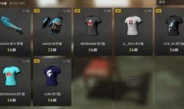 pubg皮肤爆料最新,最新Pubg皮肤爆料，潮流元素一网打尽！